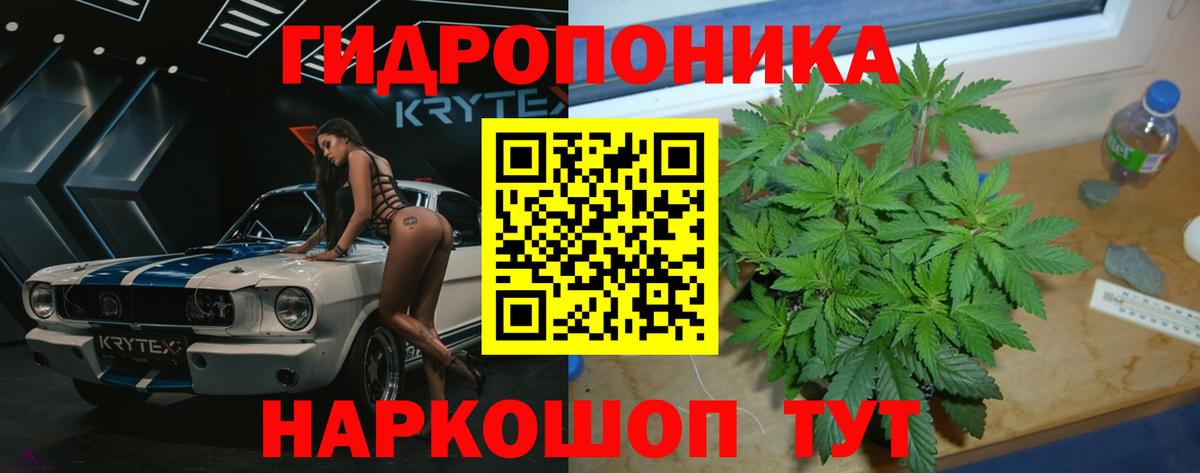 Шишки марихуана план  Конопля Bruce Banner  Вход с VPN  Арсеньев  Каннабис MAZAR 